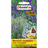 Saszetka nasion mieszanki miododajnej ziół wieloletnich PlantiCo, 1 g