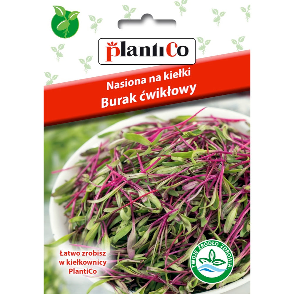 Saszetka nasion na kiełki burak ćwikłowy PlantiCo, 20 g