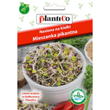 Saszetka nasion na kiełki mieszanka pikantna PlantiCo, 30 g