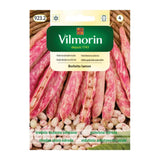 Saszetka nasion Fasola Borlotto Lamon Vilmorin