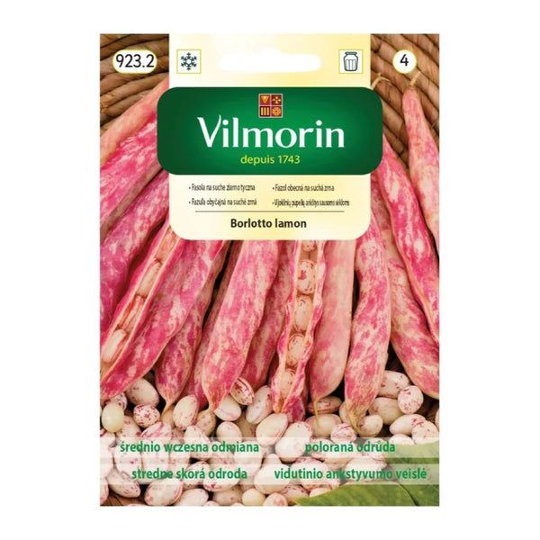 Saszetka nasion Fasola Borlotto Lamon Vilmorin