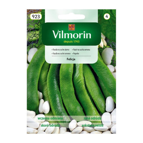 Saszetka nasion Fasola na suche ziarno Felicja Vilmorin