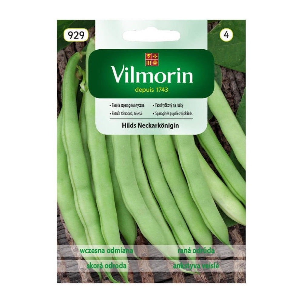 Saszetka nasion Fasola szparagowa tyczna Hilds Neckarkönigin Vilmorin
