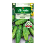Opakowanie nasion ogórek gruntowy octopus f1 Vilmorin, 1,5 g