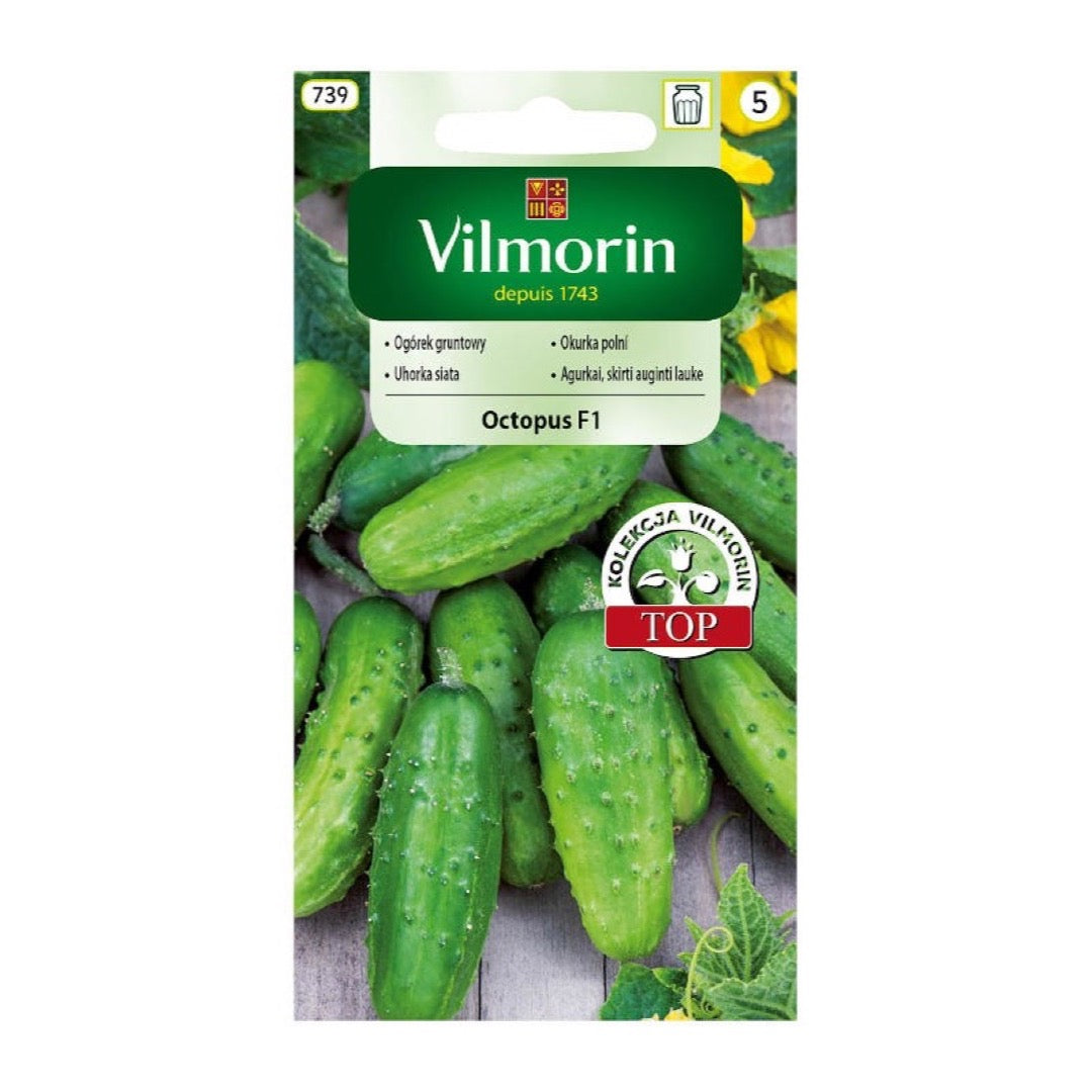 Opakowanie nasion ogórek gruntowy octopus f1 Vilmorin, 1,5 g