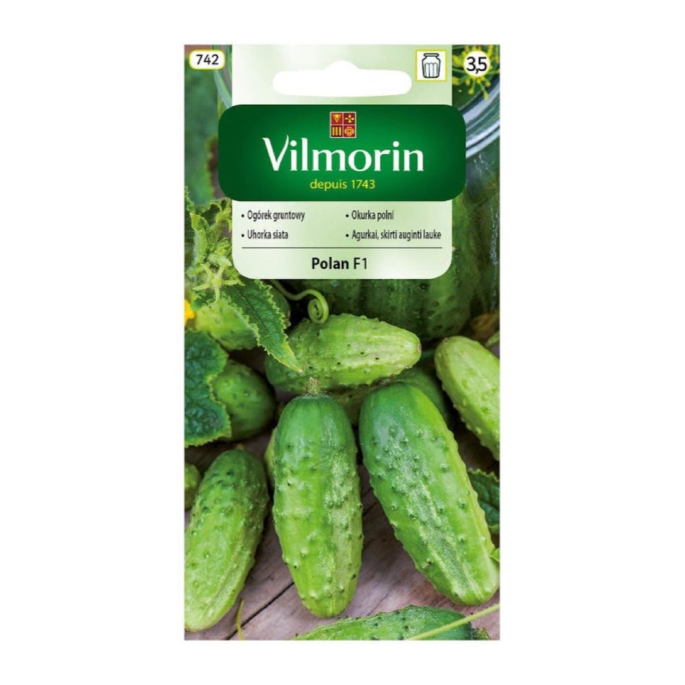 Opakowanie nasion ogórek gruntowy polan f1 Vilmorin, saszetka 3 g