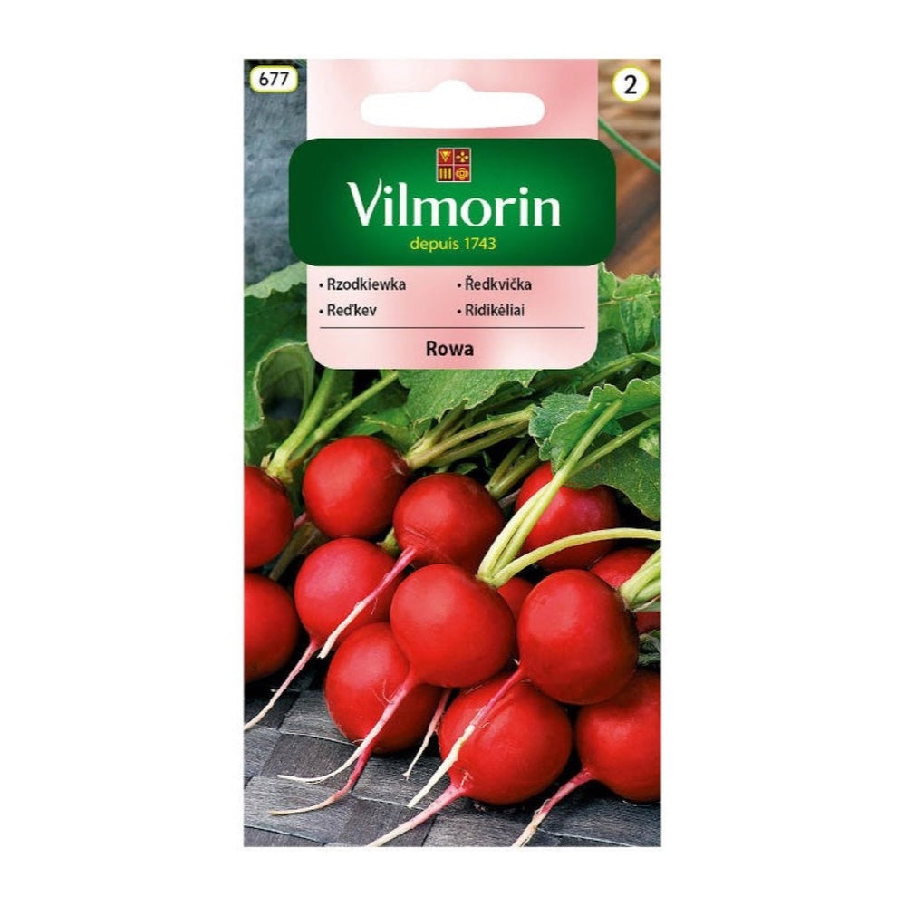 Opakowanie nasion rzodkiewka rowa Vilmorin, 10 g