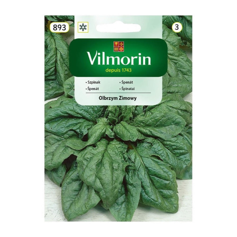 Opakowanie nasion szpinak olbrzym zimowy Vilmorin, 20 g
