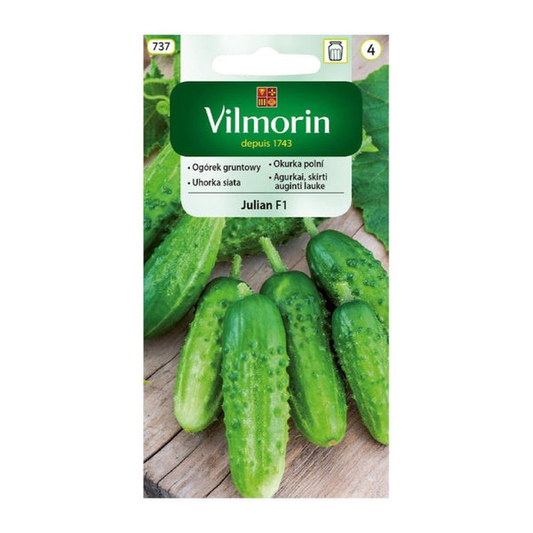 Opakowanie nasion ogórek gruntowy julian f1 Vilmorin, 5 g