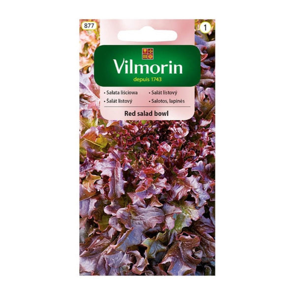 Opakowanie nasion sałata liściowa red salad bowl Vilmorin, 1 g
