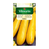 Saszetka nasion Cukinia Goldena Vilmorin