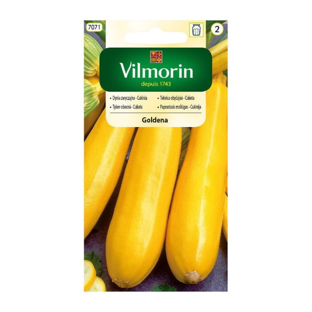 Saszetka nasion Cukinia Goldena Vilmorin