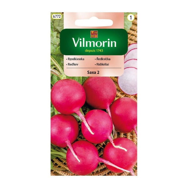 Opakowanie nasion rzodkiewka saxa 2 Vilmorin, 10 g