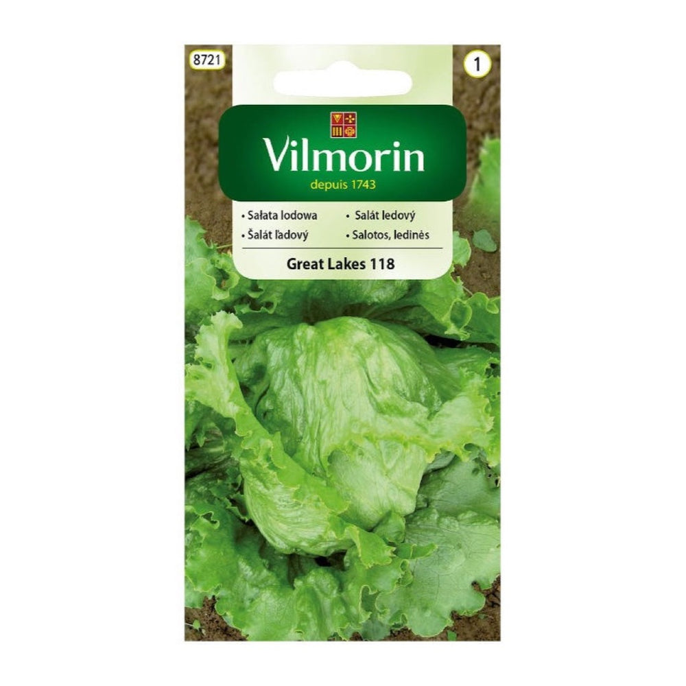 Opakowanie nasion sałata lodowa great lakes 118 Vilmorin, 1 g