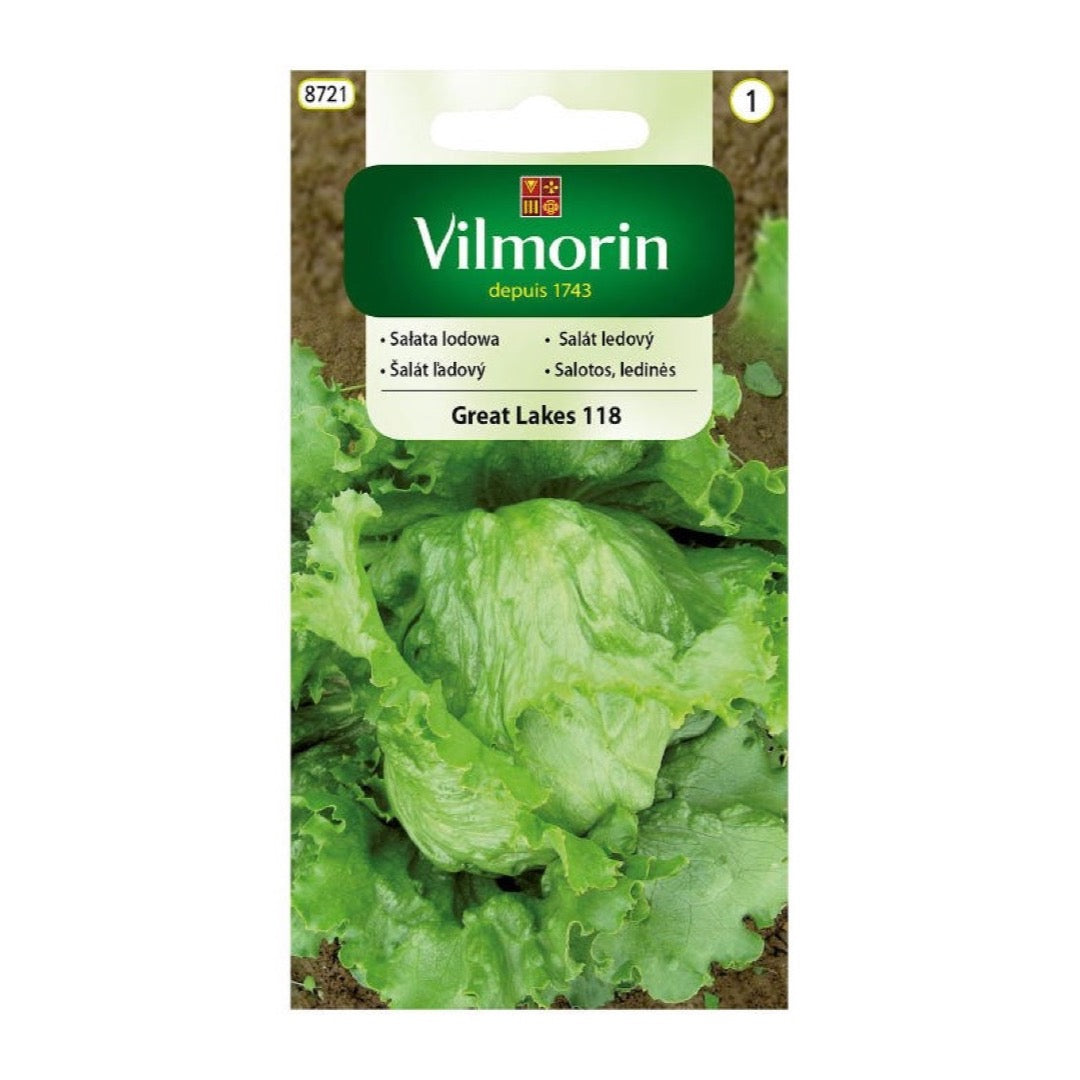 Opakowanie nasion sałata lodowa great lakes 118 Vilmorin, 1 g