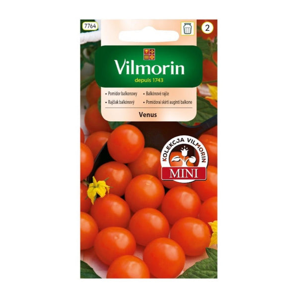 Opakowanie nasion pomidor doniczkowy venus Vilmorin, 0,3 g