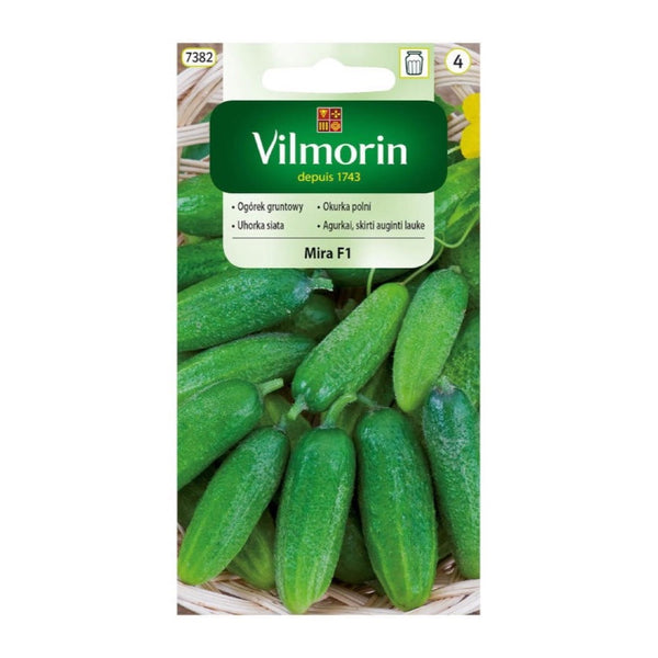 Opakowanie nasion ogórek gruntowy mira f1 Vilmorin, 3 g