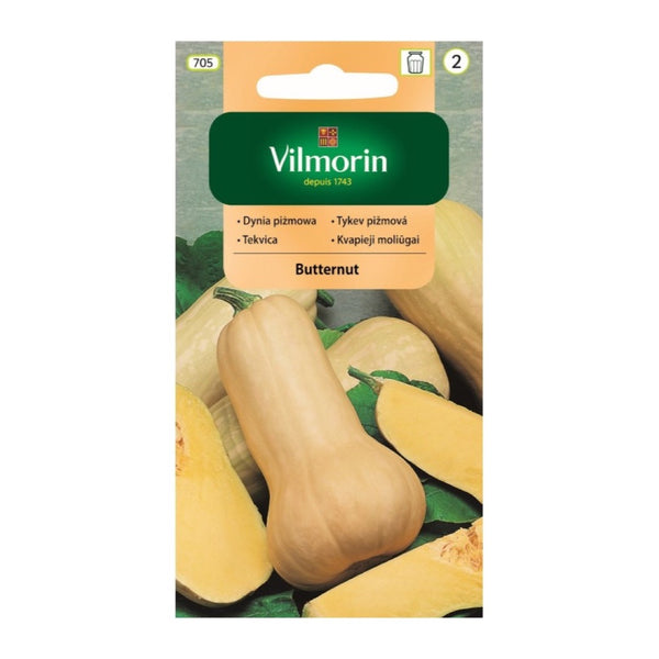 Saszetka nasion Dynia piżmowa Butternut Vilmorin