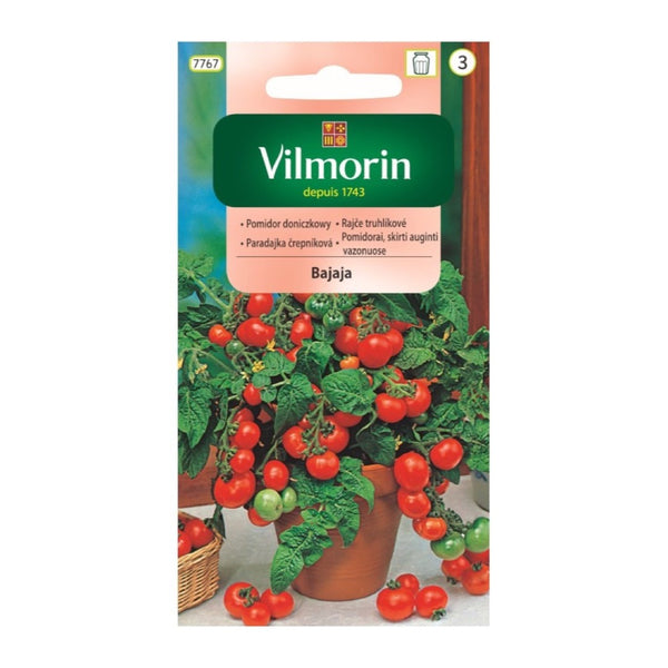 Opakowanie nasion pomidor gruntowy bajaja Vilmorin, 0,5 g