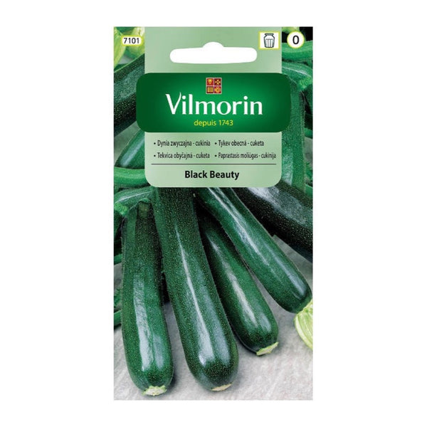 Saszetka nasion Cukinia Black Beauty Vilmorin