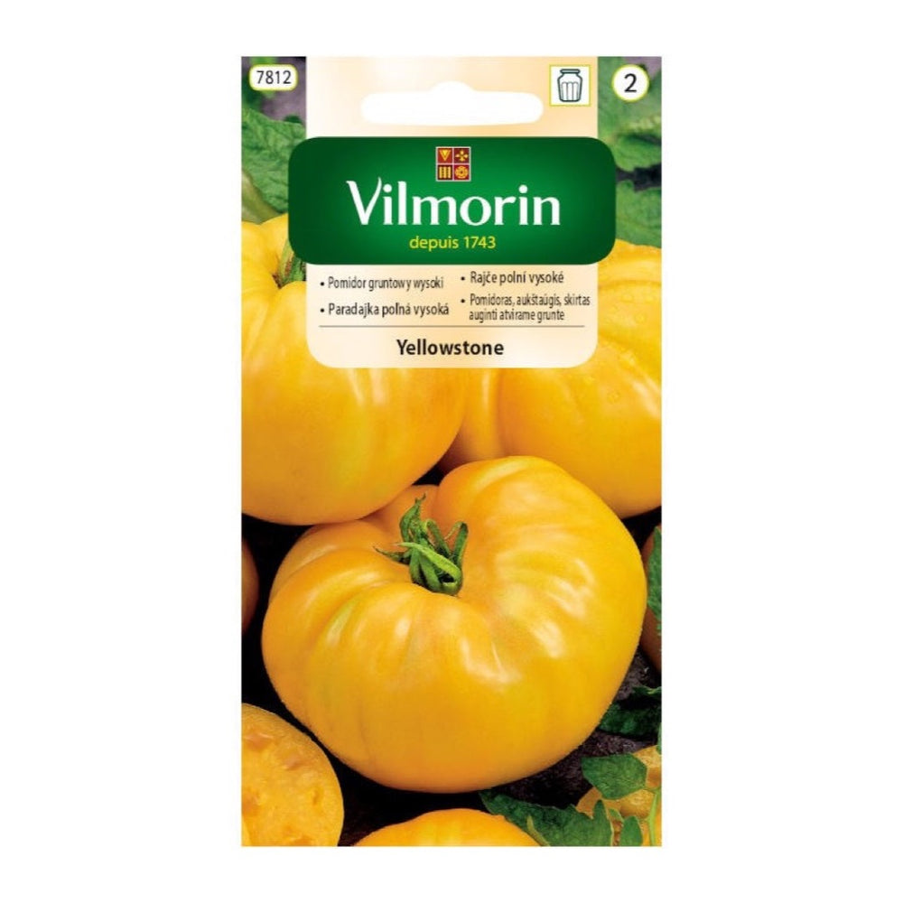 Opakowanie nasion pomidor gruntowy yellowstone Vilmorin, 0,2 g