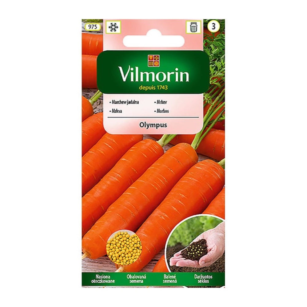 Opakowanie nasion marchew olympus w otoczce Vilmorin, 400 nasion w otoczkach