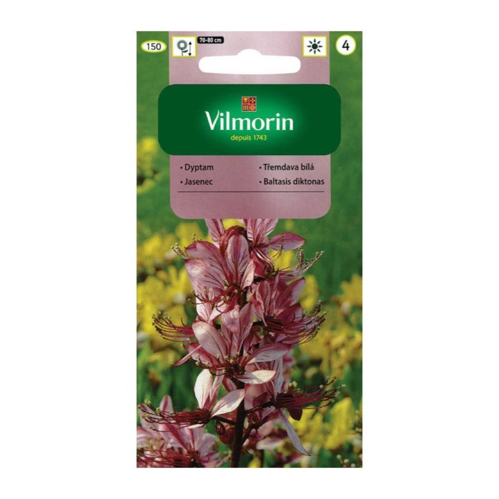 Saszetka nasion Dyptam (krzew Mojżesza) Vilmorin