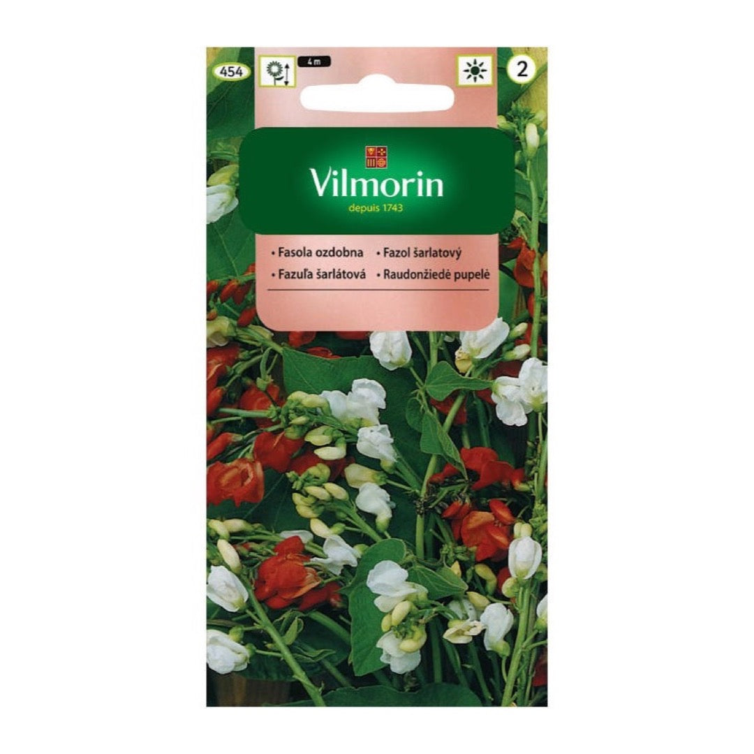 Saszetka nasion Fasola ozdobna Espagne, mieszanka Vilmorin