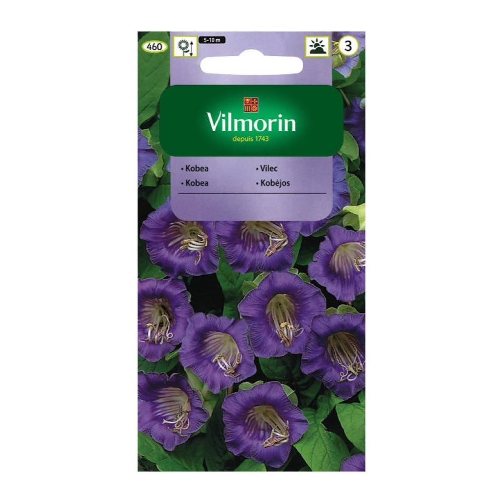 Opakowanie nasion kobea pnąca fioletowa Vilmorin, 0,5 g