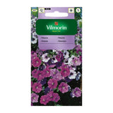 Opakowanie nasion petunia zwisająca typu surfinia, mieszanka Vilmorin, 0,1 g