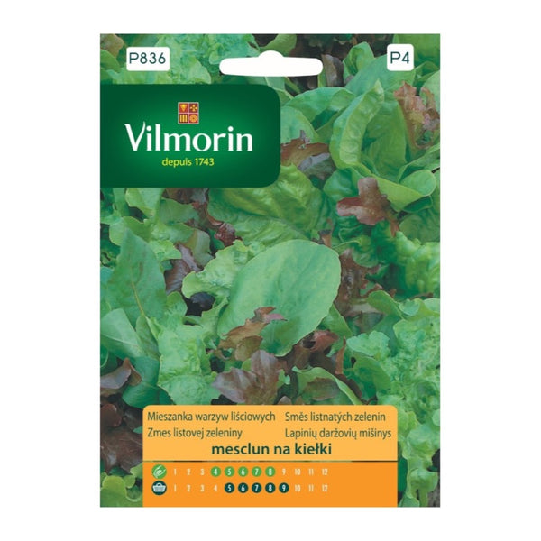 Opakowanie nasion mieszanka warzyw liściowych mesclun Vilmorin, 1 g