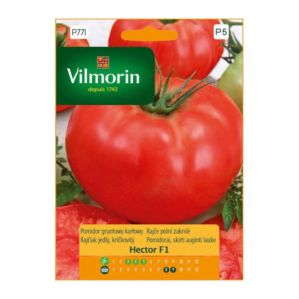 Opakowanie nasion pomidor gruntowy hector f1 Vilmorin, 0,1 g