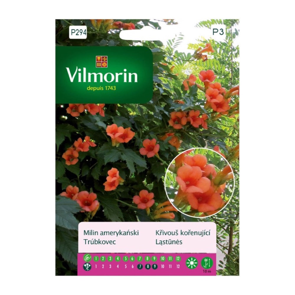 Opakowanie nasion milin amerykański Vilmorin, 0,3 g