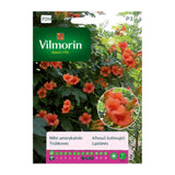 Opakowanie nasion milin amerykański Vilmorin, 0,3 g