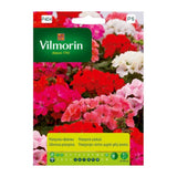 Opakowanie nasion pelargonia rabatowa, mieszanka Vilmorin, 10 nasion