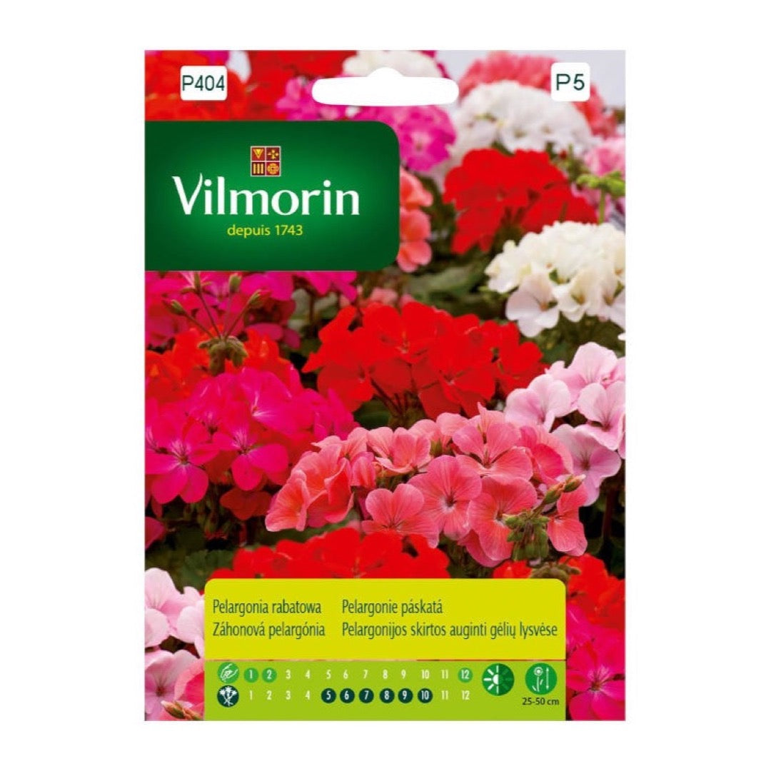 Opakowanie nasion pelargonia rabatowa, mieszanka Vilmorin, 10 nasion