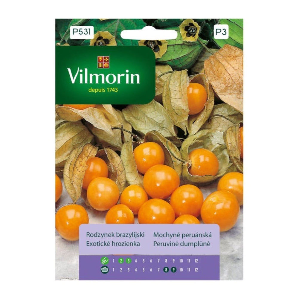 Opakowanie nasion rodzynek brazylijski Vilmorin, 0,1 g