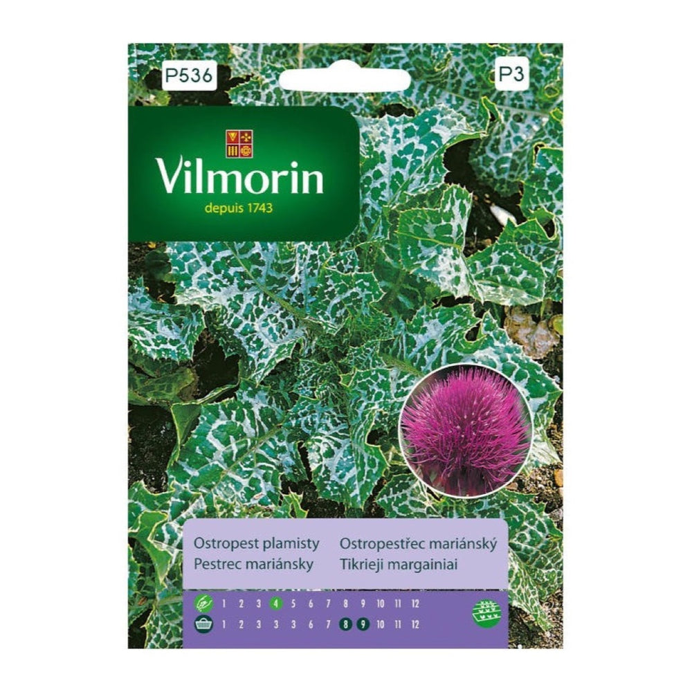 Opakowanie nasion ostropest plamisty Vilmorin, 2 g
