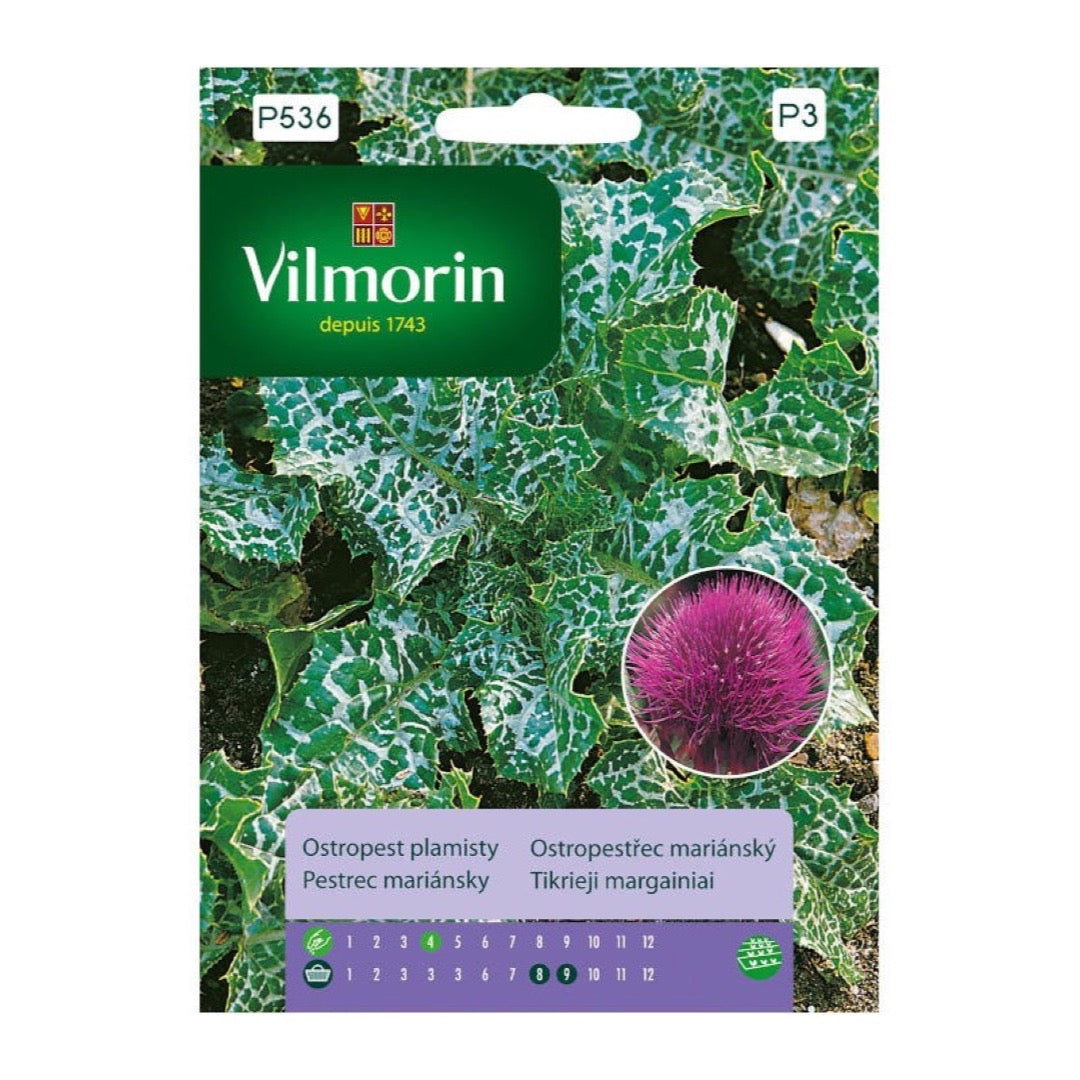 Opakowanie nasion ostropest plamisty Vilmorin, 2 g