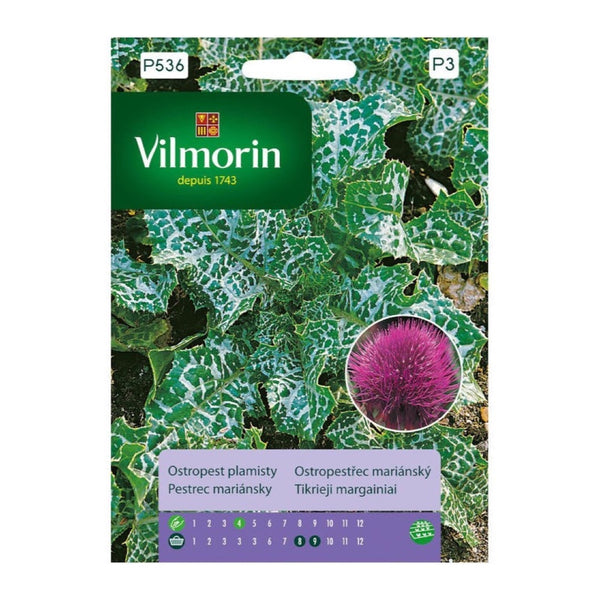 Opakowanie nasion ostropest plamisty Vilmorin, 2 g