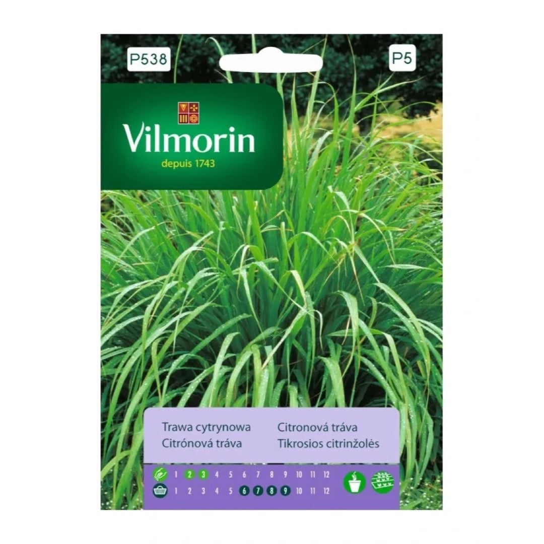 Opakowanie nasion trawa cytrynowa Vilmorin, 0,5 g