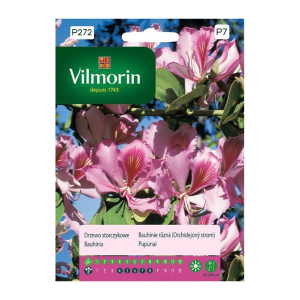 Saszetka nasion Drzewko storczykowe (Bauhinia variegata) Vilmorin