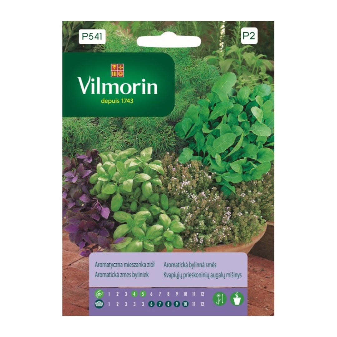 Opakowanie nasion aromatyczna mieszanka ziół Vilmorin, 2 g