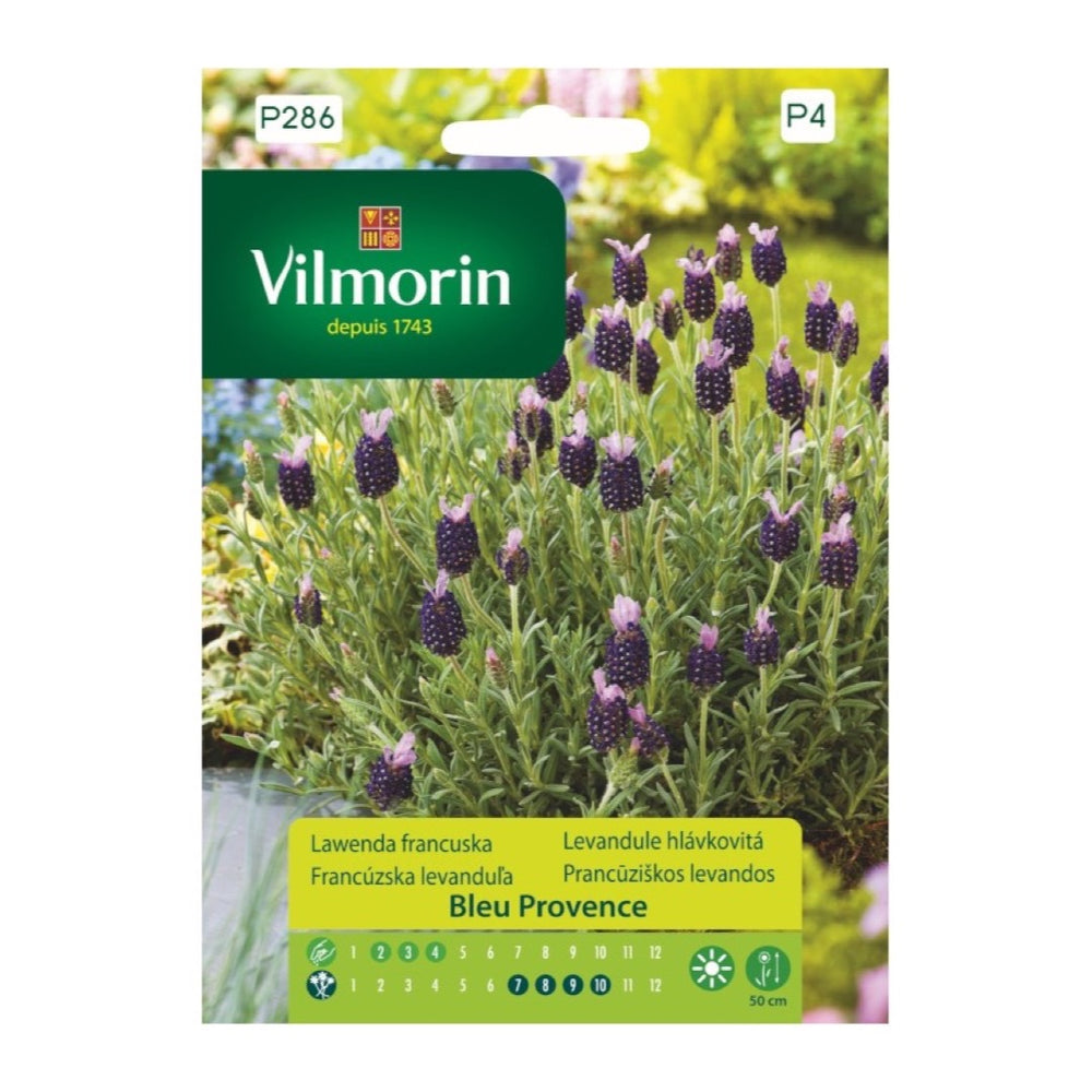 Opakowanie nasion lawenda francuska bleu provence Vilmorin, 0,3 g