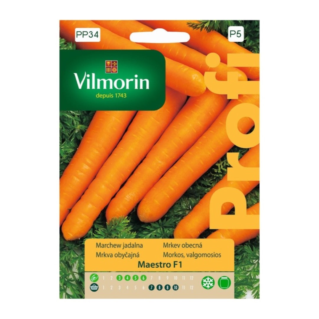 Opakowanie nasion marchew maestro f1 Vilmorin, 2 g