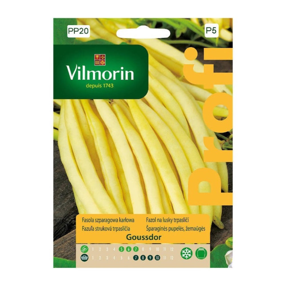 Saszetka nasion Fasola szparagowa Goussdor Vilmorin