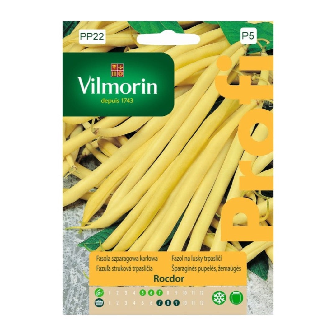 Opakowanie nasion fasola szparagowa rocdor Vilmorin, 30 g