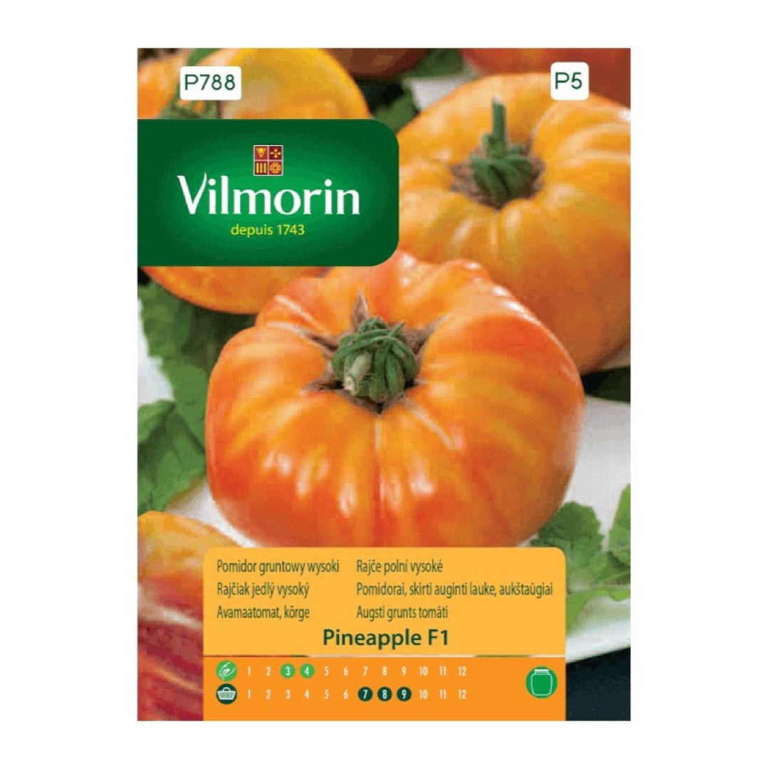 Opakowanie nasion pomidor gruntowy pineapple f1 Vilmorin, 0,1 g