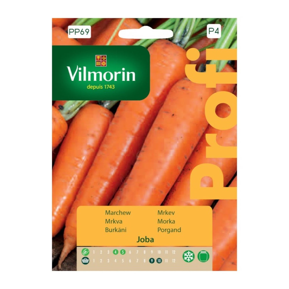 Opakowanie nasion marchew joba Vilmorin, 1,5 g