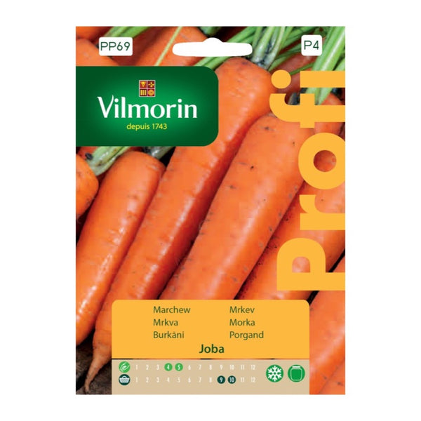 Opakowanie nasion marchew joba Vilmorin, 1,5 g